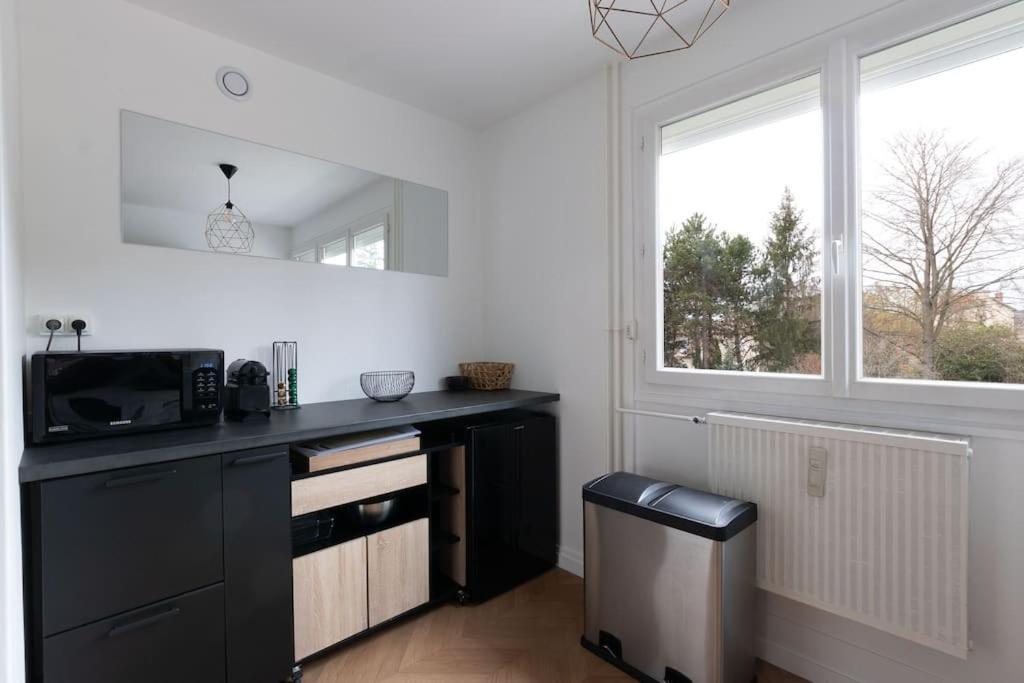 Cabana & Le Grand Appartement Lumineux Mâcon المظهر الخارجي الصورة